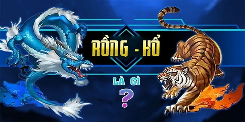 Tổng quan về game bài rồng hổ